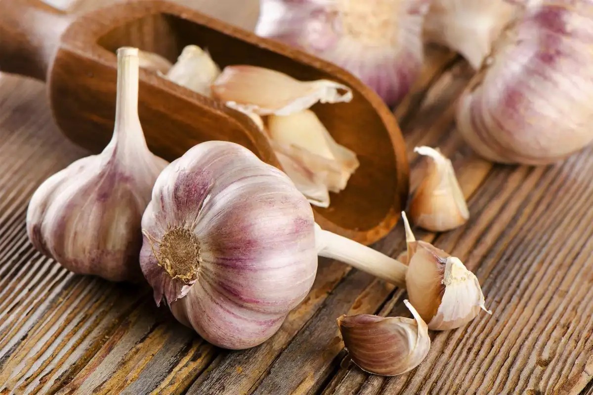 Ajo en la guantera del auto: para qué sirve y por qué tanta gente o recomenda