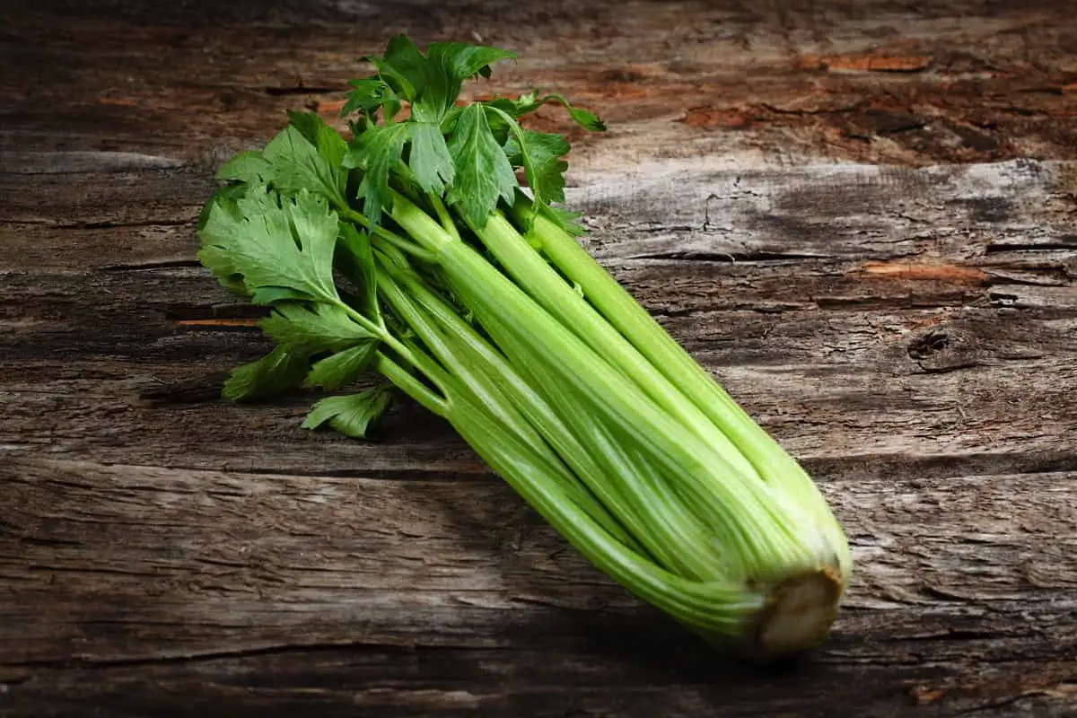 Caldo de esturjão caseiro: rico, aromático e perfeito para todos os dias