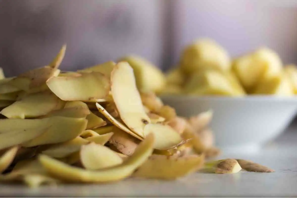 Cascas de batata na sansevieria: para que servem e como usar corretamente