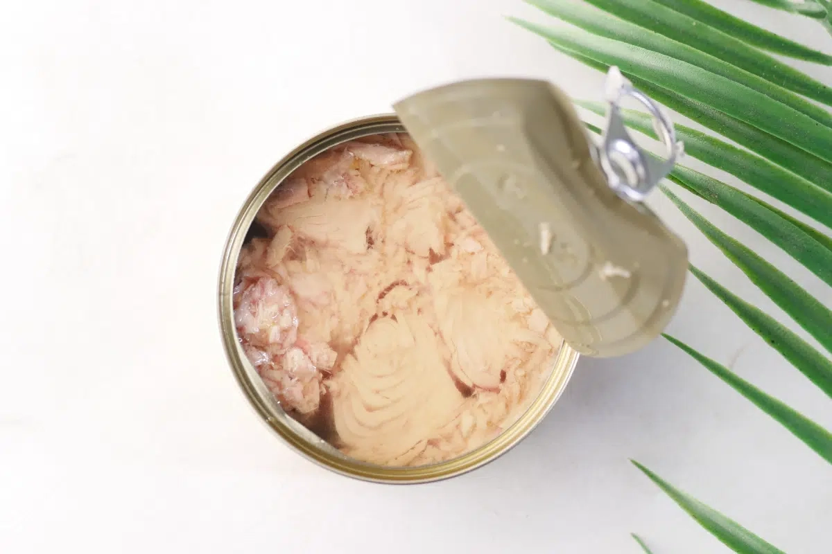 O que comer para a saúde do coração: dietistas e médicos indicam 5 conservas úteis