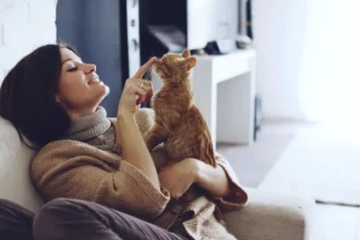 Gatos mais fiéis: 7 raças que nunca te deixam sozinho