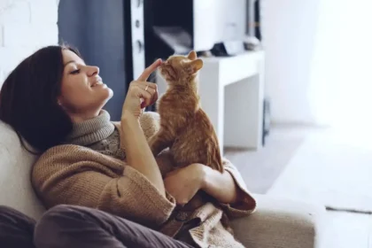 Gatos mais fiéis: 7 raças que nunca te deixam sozinho