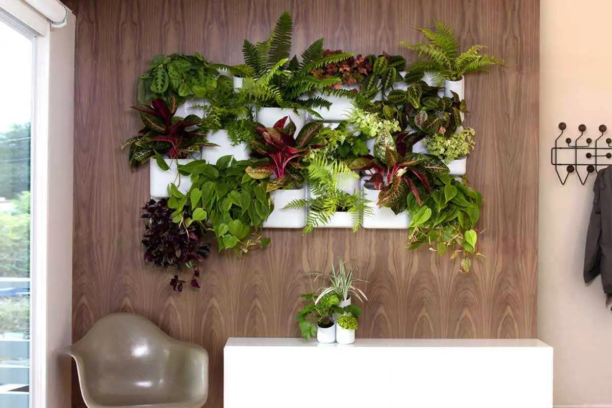 Adeus às paredes vazias: 5 ideias modernas e elegantes para decorar sem gastar muito