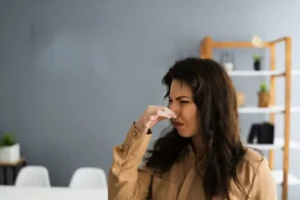 Planta de interior que elimina o odor a cigarro: a dracena que purifica o ar da tua casa em tempo recorde