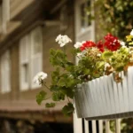 Plantas para terraços pequenos: Como transformar o seu balcão nesta primavera