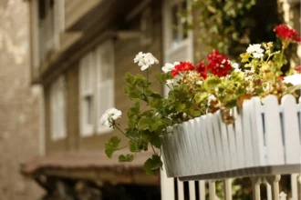 Plantas para terraços pequenos: Como transformar o seu balcão nesta primavera
