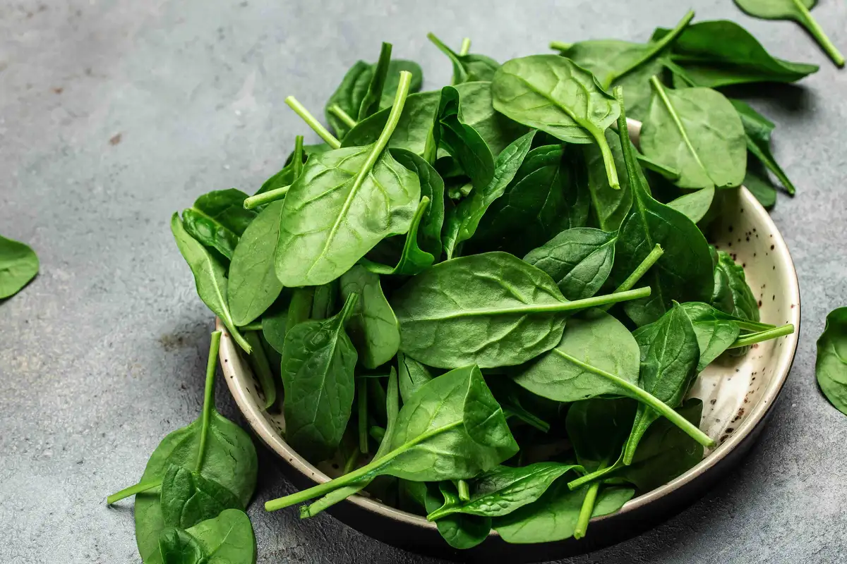 Quiche de espinacas sem ovos: a receita vegana rica e fácil para todos