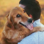 Sinais de apego excessivo no cão: como identificar a ansiedade por separação antes que piore