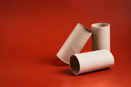 Souvenirs de Páscoa: aprende a fazer coelhinhos adoráveis com tubos de papel higiénico