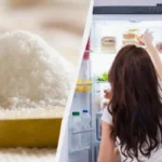 Por que colocar sal no frigorífico? O truque eficaz que elimina humidade e maus odores
