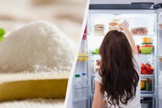 Por que colocar sal no frigorífico? O truque eficaz que elimina humidade e maus odores