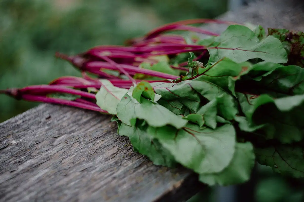 5 produtos com muito mais potássio do que o abacate