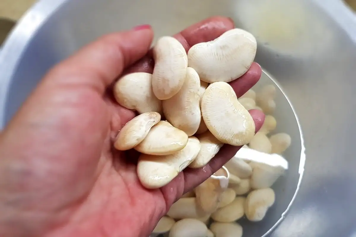 5 produtos com muito mais potássio do que o abacate