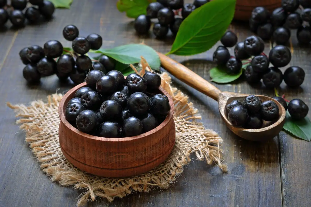 Sumo de arónia fortalece o coração e dá energia: o que é e como prepará-lo em casa